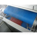 28KW Easy Cleaning Fruit Juice Press Machine High-Speed For